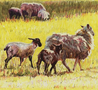 Following by Helen White